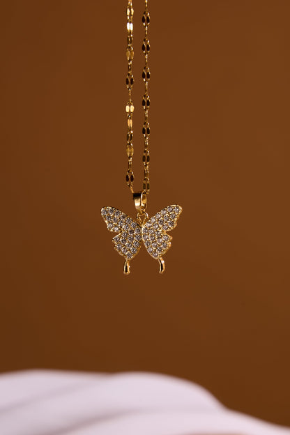 Papillon Spark