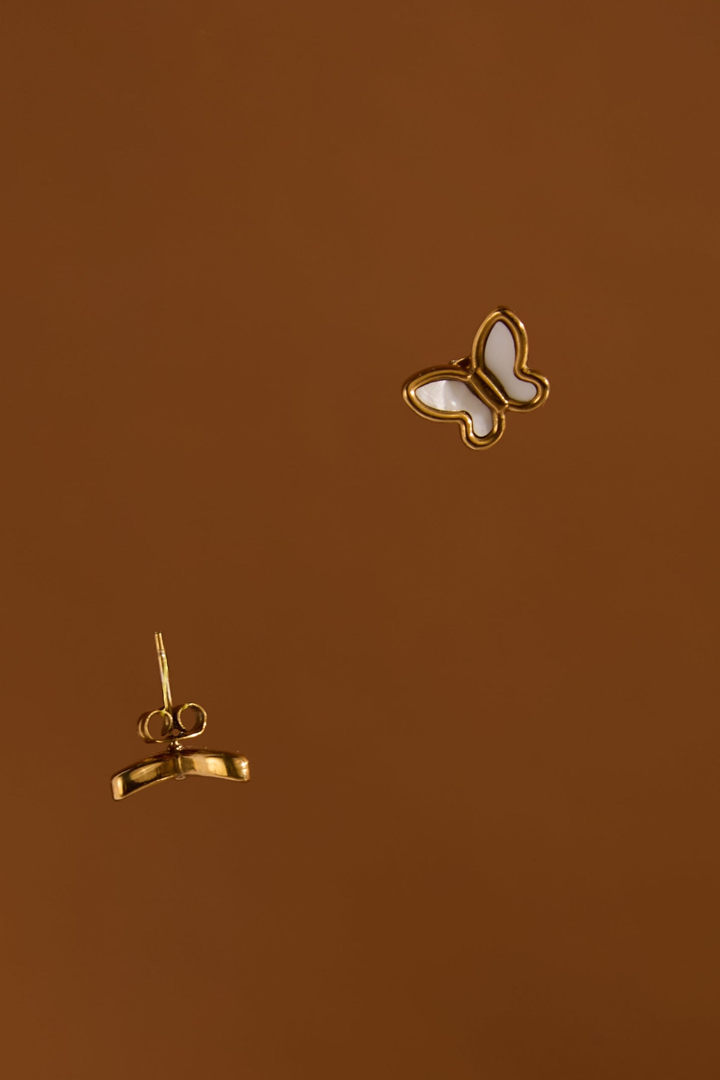 Papillon Sefid