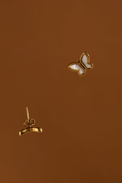 Papillon Sefid
