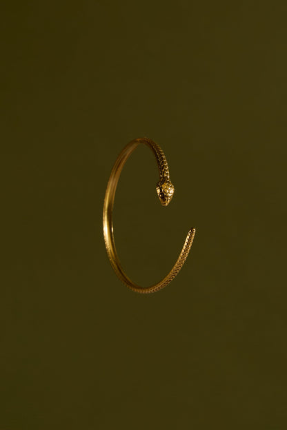 Snake Band